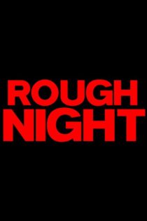 دانلود فیلم Rough Night 2017 شب سخت