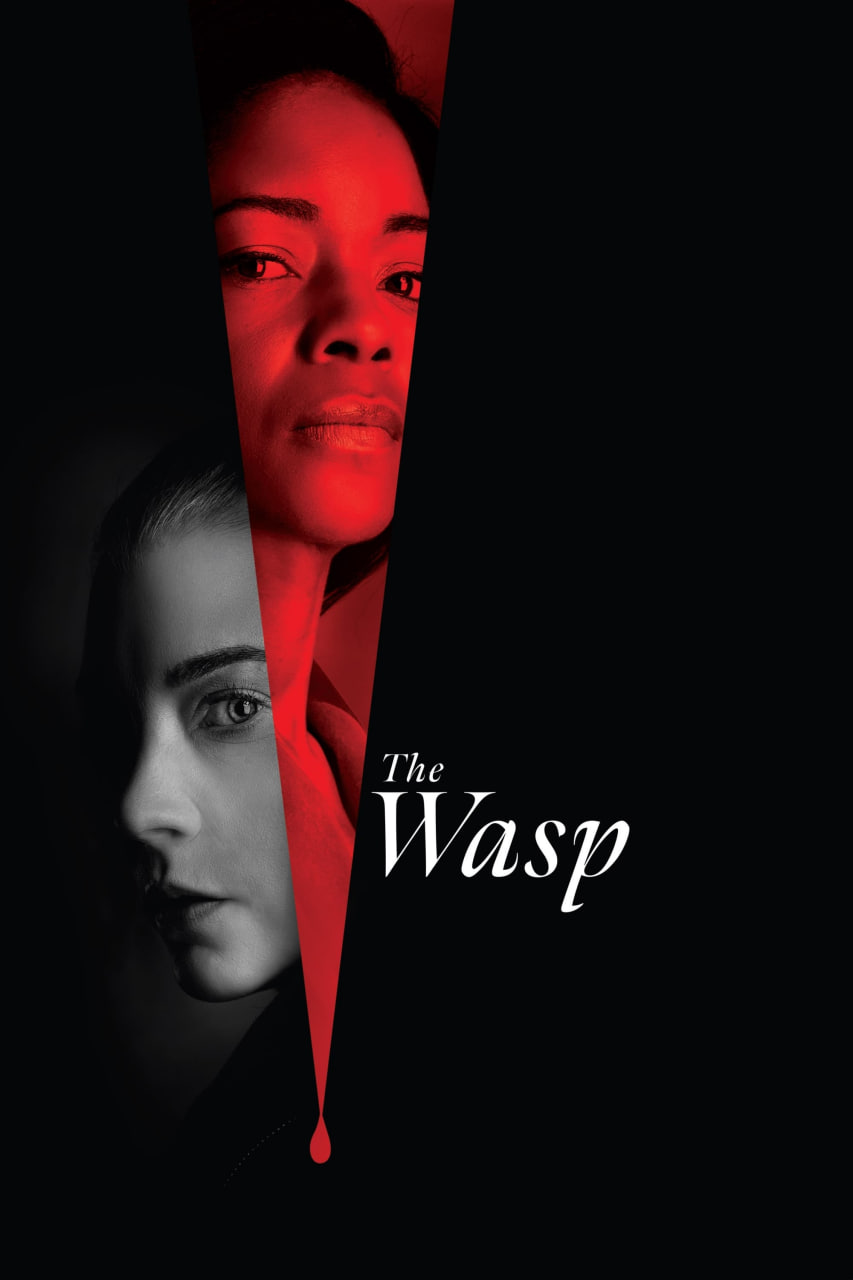 دانلود فیلم The Wasp 2024 زنبور